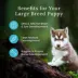 Blue Wilderness Large Breed Puppy Dry Dog Food - Wholesome Grains, High-Protein, Natural, Chicken image thumbnail 4
