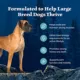 Product Blue Buffalo Wilderness Nature's Evolutionary Diet Large Breed Adult Dog Dry Food - Salmon