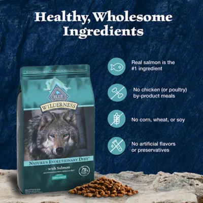 Product Blue Buffalo Wilderness Nature's Evolutionary Diet Large Breed Adult Dog Dry Food - Salmon