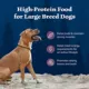 Product Blue Wilderness Large Breed Adult Dry Dog Food - High-Protein, Natural, Bison Rocky Mountain Recipe