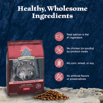 Blue Buffalo Wilderness High Protein Natural Adult Dry Dog Food Salmon 28 lb