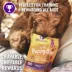 Wellness Soft Puppy Bites Dog Treats - Natural, Lamb & Salmon image thumbnail 5
