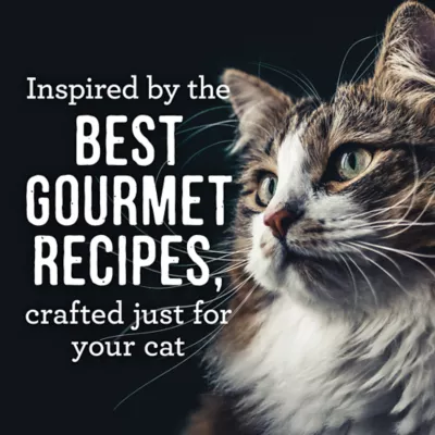 Product Merrick Purrfect Bistro Soirees Adult Cat Food - Grain Free