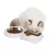 Catit PIXI Cat Food Double Dish - White image thumbnail 2