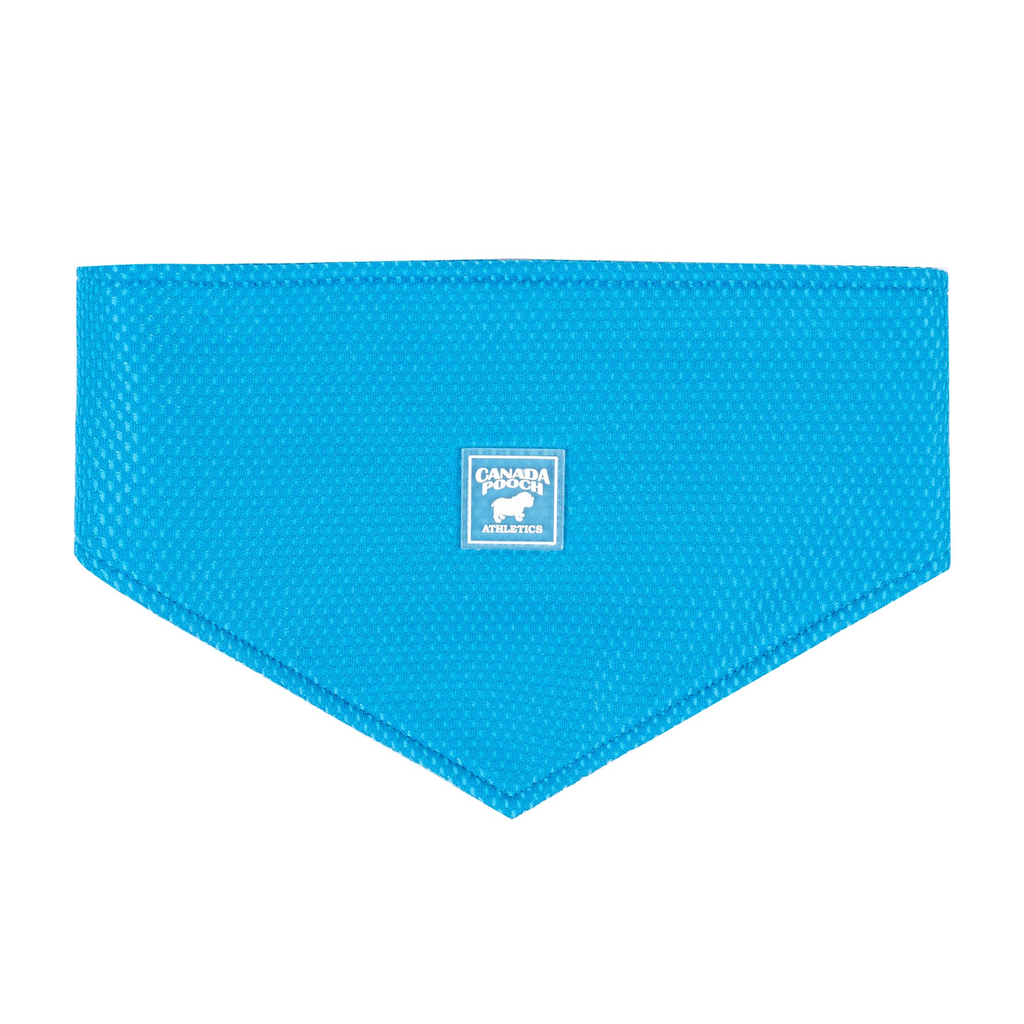 Petsmart hotsell birthday bandana