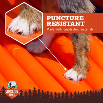 Product Arcadia Trail™ Inflatable Dog Raft
