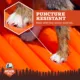 Product Arcadia Trail™ Inflatable Dog Raft