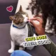 Product TEMPTATIONS Tender Fills Salmon Flavor Adult Cat Treats