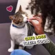 Product TEMPTATIONS Tender Fills Chicken Flavor Adult Cat Treats