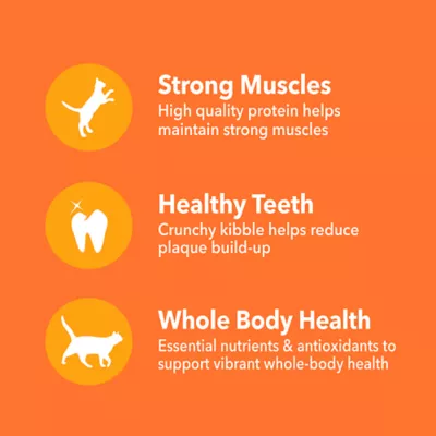 Product Iams Proactive Health Healthy Enjoyment Adult Dry Cat Food - Chicken & Salmon