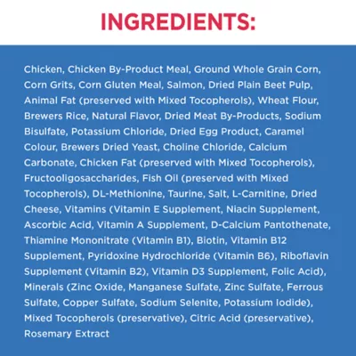 Product Iams Proactive Health Healthy Enjoyment Adult Dry Cat Food - Chicken & Salmon