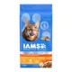 Product Iams Proactive Health Healthy Enjoyment Adult Dry Cat Food - Chicken & Salmon