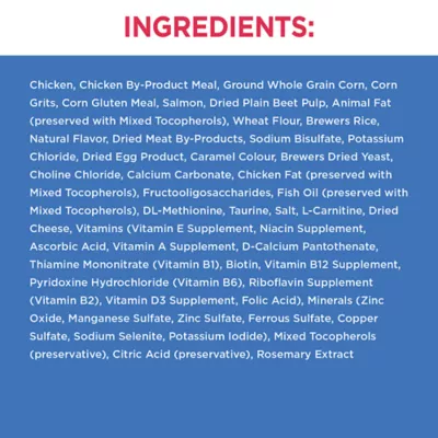 Product Iams Proactive Health Healthy Enjoyment Adult Dry Cat Food - Chicken & Beef