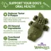 WHIMZEES Alligator Small Dog Dental Treats - Vegetable image thumbnail 5