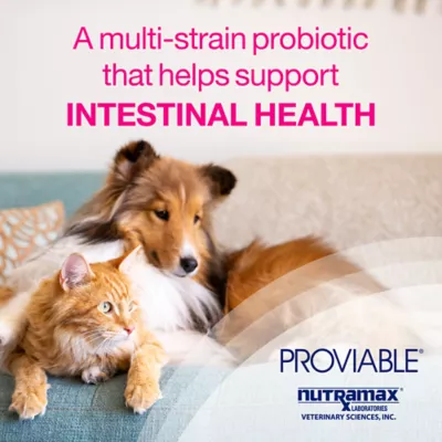 Product Nutramax Cat Proviable Capsules Digestive Supplement