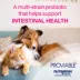 Nutramax® Proviable Cat Supplement - Probiotics & Prebiotics, Daily Digestive Support, 30 capsules image thumbnail 3