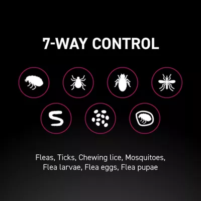 Product NextStar® Flea & Tick Prevention for Cats