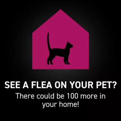 Product NextStar® Flea & Tick Prevention for Cats