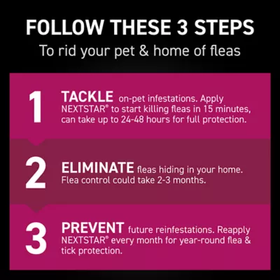 Product NextStar® Flea & Tick Prevention for Cats