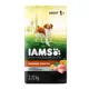 Product IAMS Advanced Immune Health Adult Dry Dog Food - Energy & Vitality Support, Chicken & Superfoods