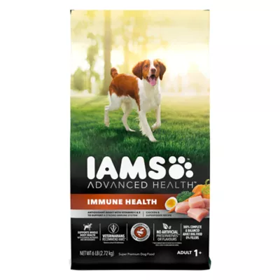 Product IAMS Advanced Immune Health Adult Dry Dog Food - Energy & Vitality Support, Chicken & Superfoods