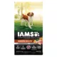 Product IAMS Advanced Immune Health Adult Dry Dog Food - Energy & Vitality Support, Chicken & Superfoods