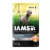 IAMS Advanced Health Adult Dry Dog Food - Skin & Coat Care, Chicken & Salmon image thumbnail 1