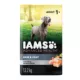 Product IAMS Advanced Health Adult Dry Dog Food - Skin & Coat Care, Chicken & Salmon