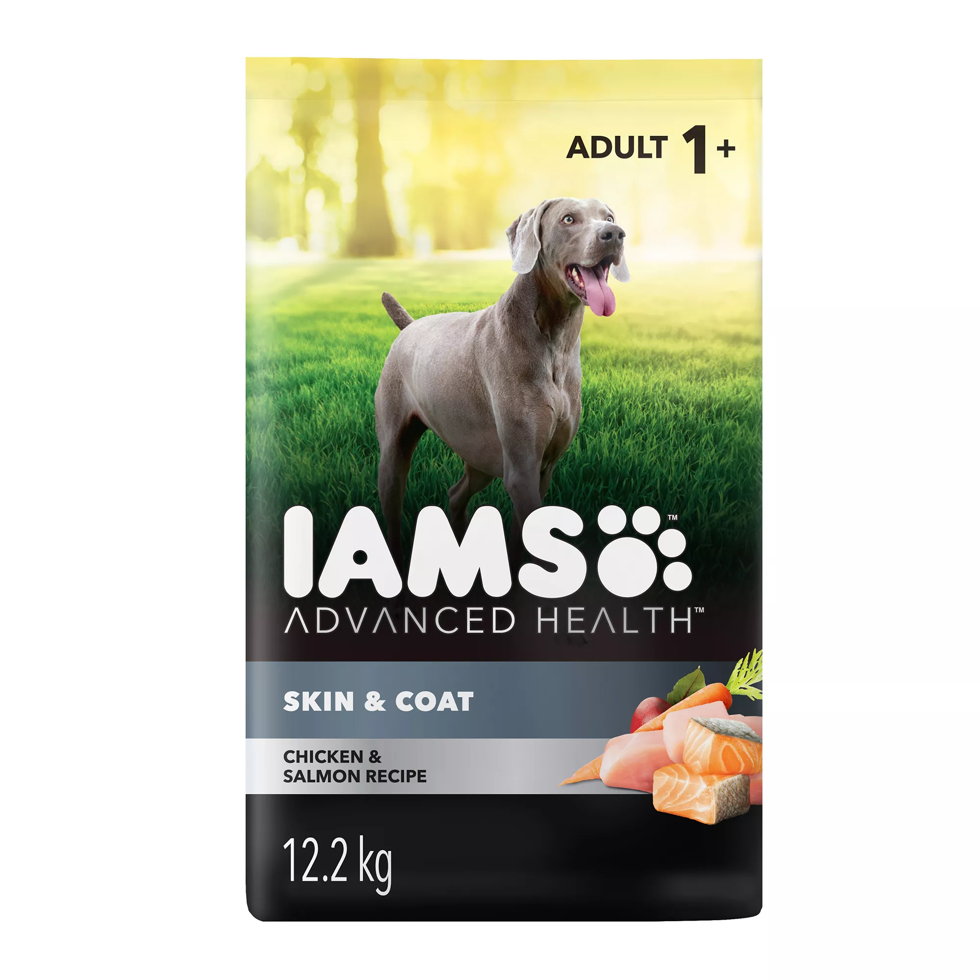 IAMS Advanced Health Adult Dry Dog Food - Skin & Coat Care, Chicken & Salmon