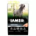 IAMS Advanced Health Adult Dry Dog Food - Skin & Coat Care, Chicken & Salmon image thumbnail 2