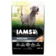 Product IAMS Advanced Health Adult Dry Dog Food - Skin & Coat Care, Chicken & Salmon