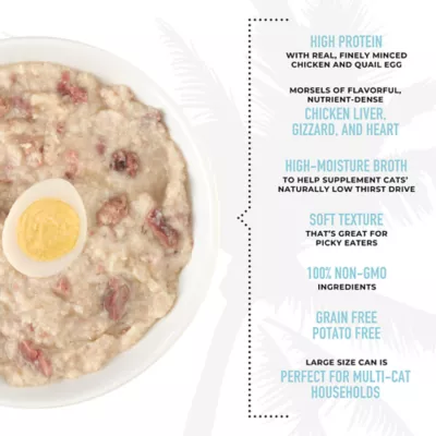 Tiki Cat After Dark Pate+ Adult Cat Wet Food - 5.5 oz - Image 4