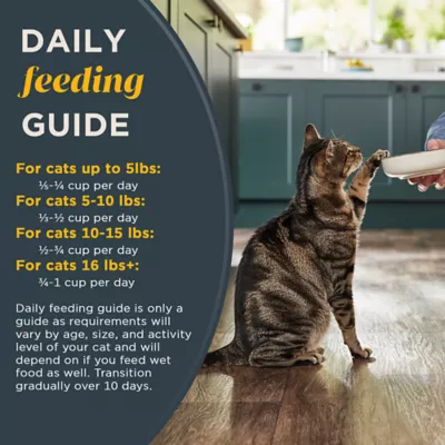 Product Reveal Adult Complete Dry Cat Food - Grain Free, Chicken Recipe