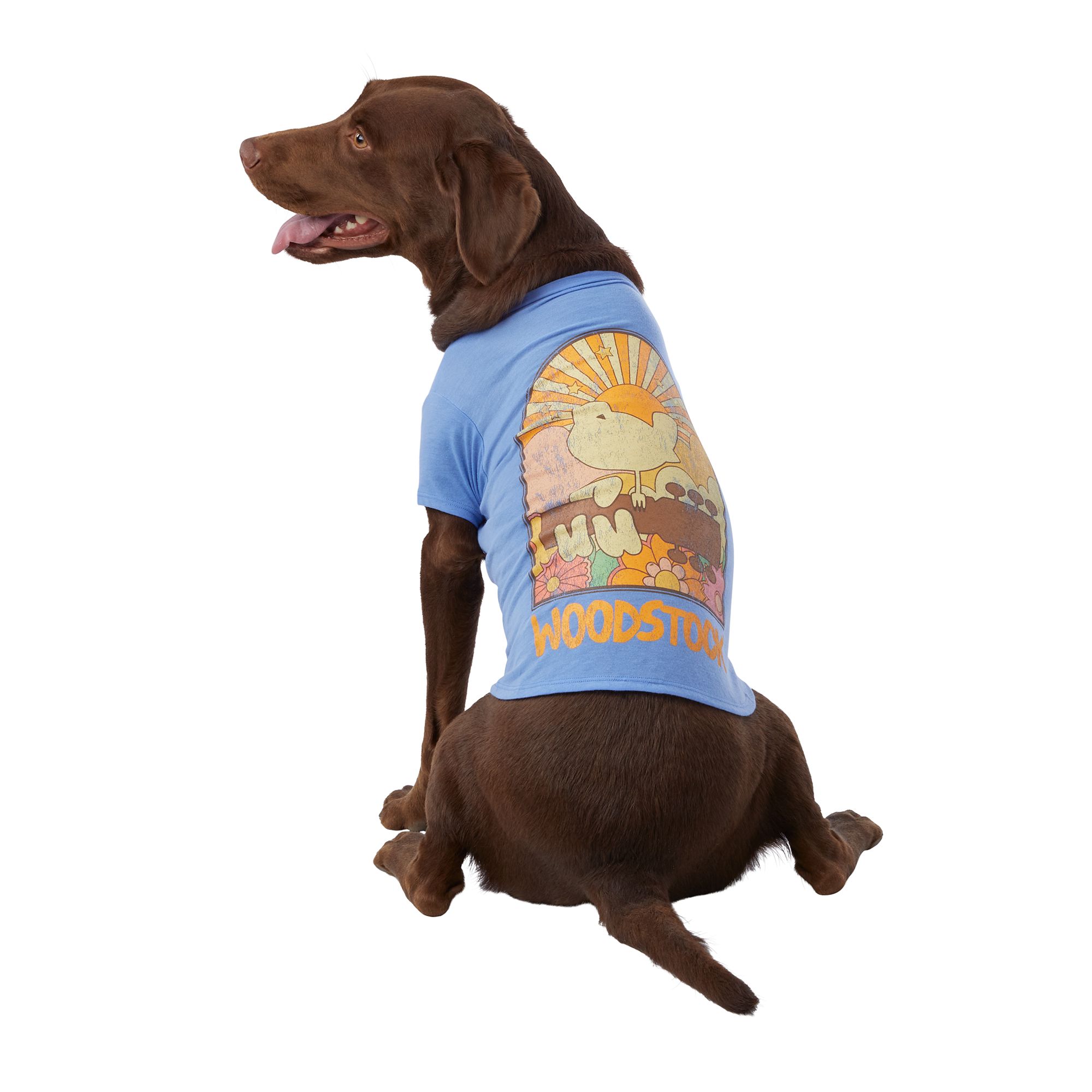 Petsmart on sale dog shirts