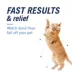 PetArmor® CapAction Oral Flea Treatment for Cats, 6 doses image thumbnail 3