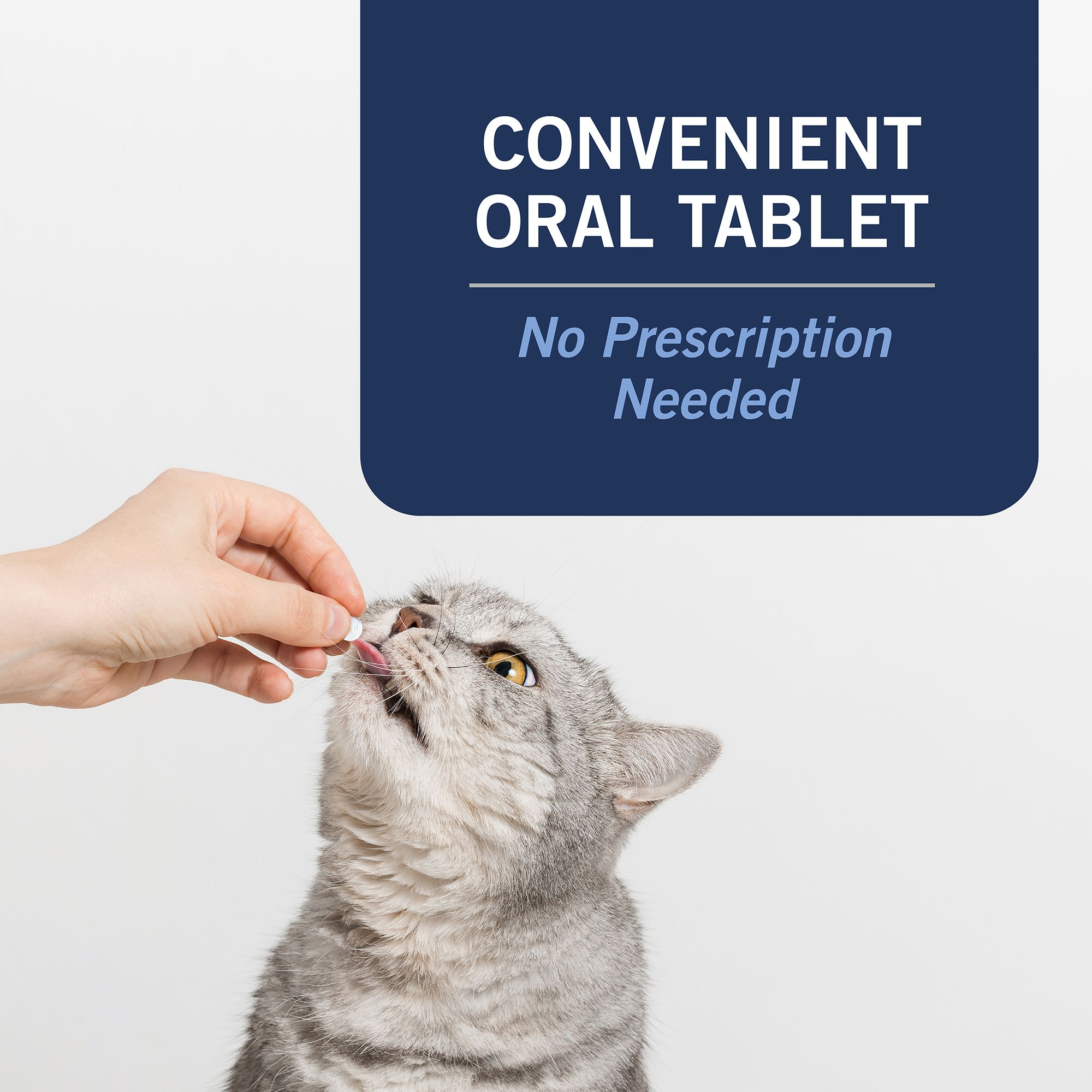 Oral cat flea treatment hotsell