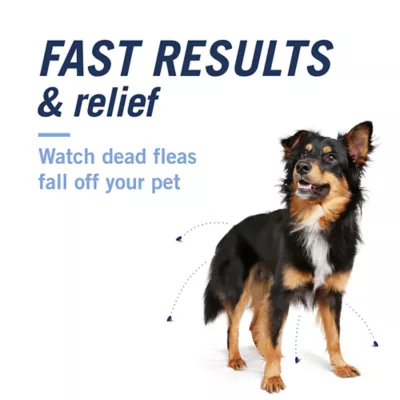 Product PetArmor® CapAction Oral Flea Treatment for Dogs 25+ lbs, 6 doses