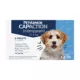 Product PetArmor® CapAction Oral Flea Treatment for Dogs 2-25lbs, 6 doses