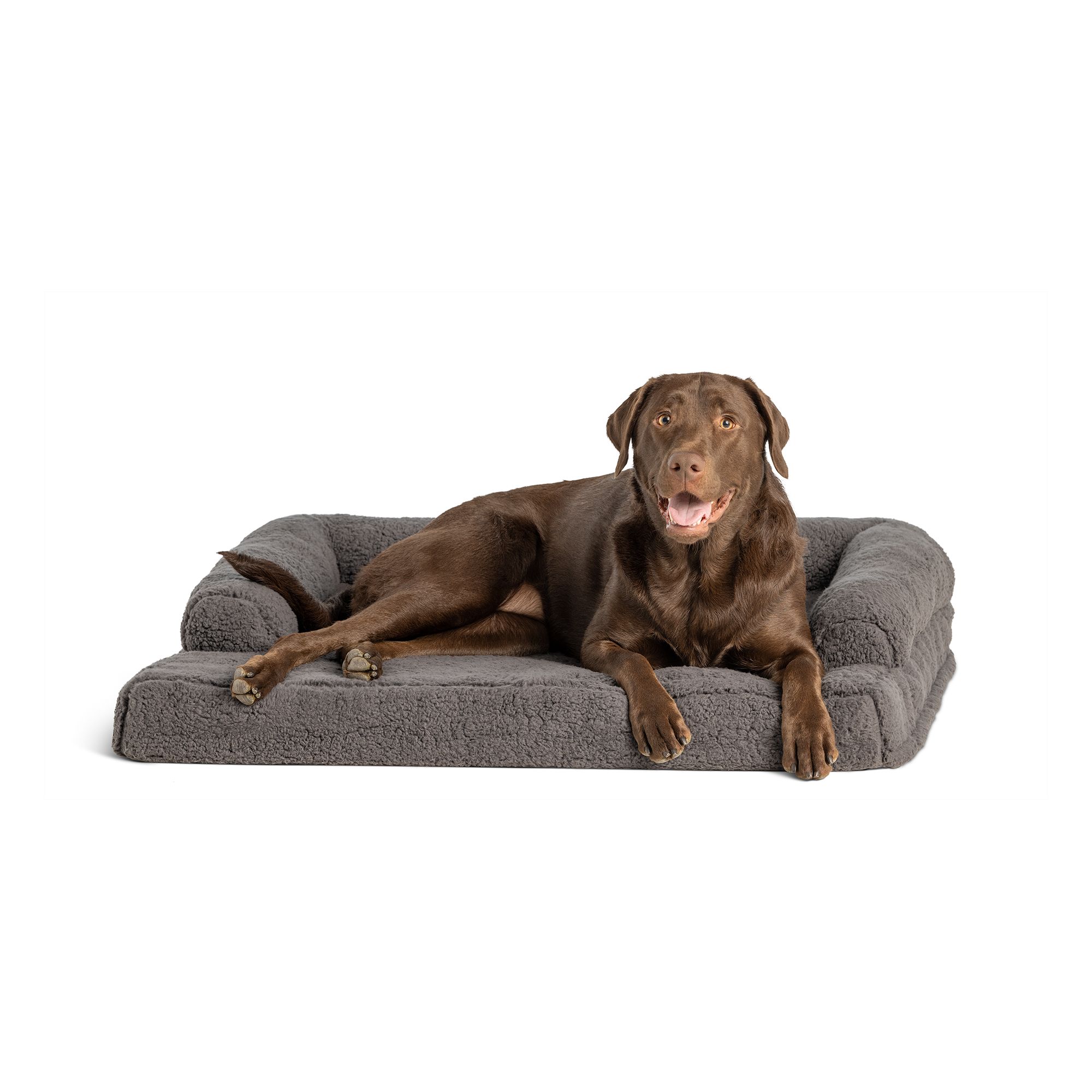 Jumbo dog hotsell bed petsmart