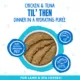 Product Weruva B.F.F. PLAY Pate! For Land & Sea Lovers Wet Cat Food - Pate in a Hydrating Puree, 5.5 OZ