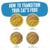 Weruva B.F.F. PLAY Pate! For Chicken Lovers Wet Cat Food - Pate in a Hydrating Puree, 2.8 OZ image thumbnail 5