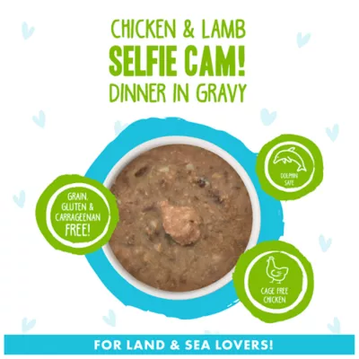 Weruva B.F.F. OMG Gravy! For Land & Sea Lovers Wet Cat Food - Minced in Gravy, 2.8 OZ, Can - Image 3