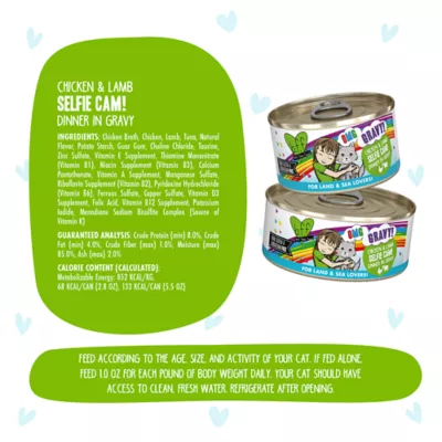 Weruva B.F.F. OMG Gravy! For Land & Sea Lovers Wet Cat Food - Minced in Gravy, 2.8 OZ, Can - Image 4