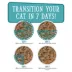 Weruva Cats in the Kitchen Originals Wet Cat Food - Shreds in Pumpkin Consomme, 6 OZ image thumbnail 6