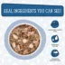 Weruva Cats in the Kitchen Originals Wet Cat Food - Flaked in Gravy, 3 OZ image thumbnail 4