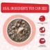 Weruva Cats in the Kitchen Originals Wet Cat Food - Flaked in Gravy, 3 OZ image thumbnail 4