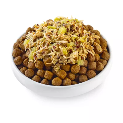 Product Applaws Taste Toppers All Life Stage Dog Food Topper - 3 Oz., In Broth