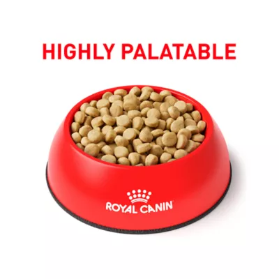 Product Royal Canin® Veterinary Diet Canine Selected Protein PW Moderate Calorie Adult Dry Dog Food