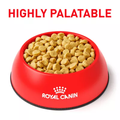 Royal Canin Vegetarian Dry Dog Food