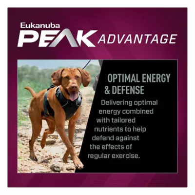 Product Eukanuba Premium Performance 26/16 Exercise Adult Dry Dog Food - Chicken